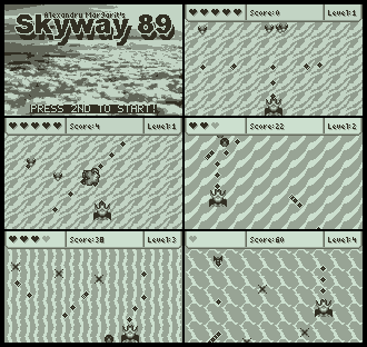 Skyway 89